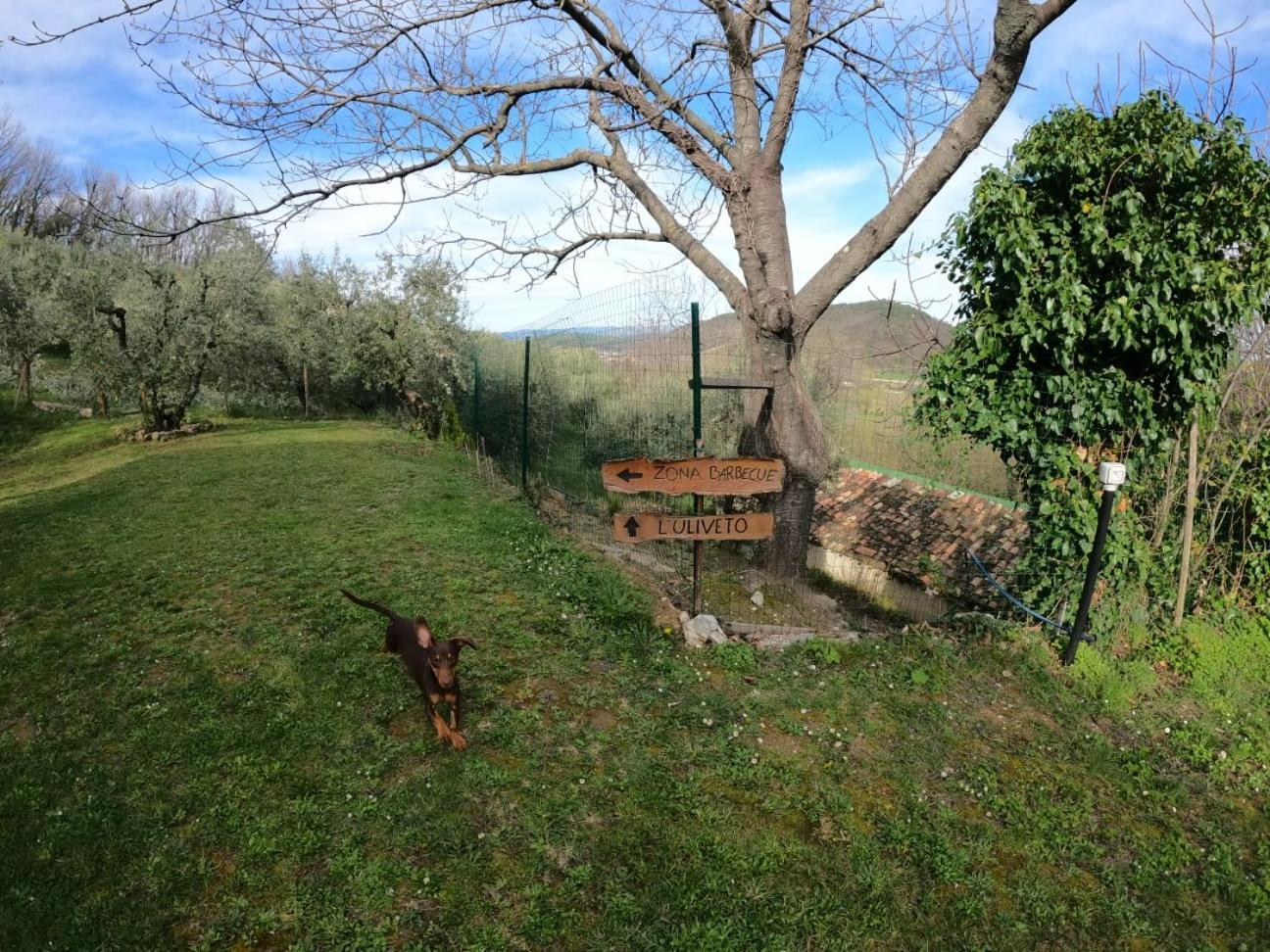 Casa Degli Ulivi * Civitella Del Tronto